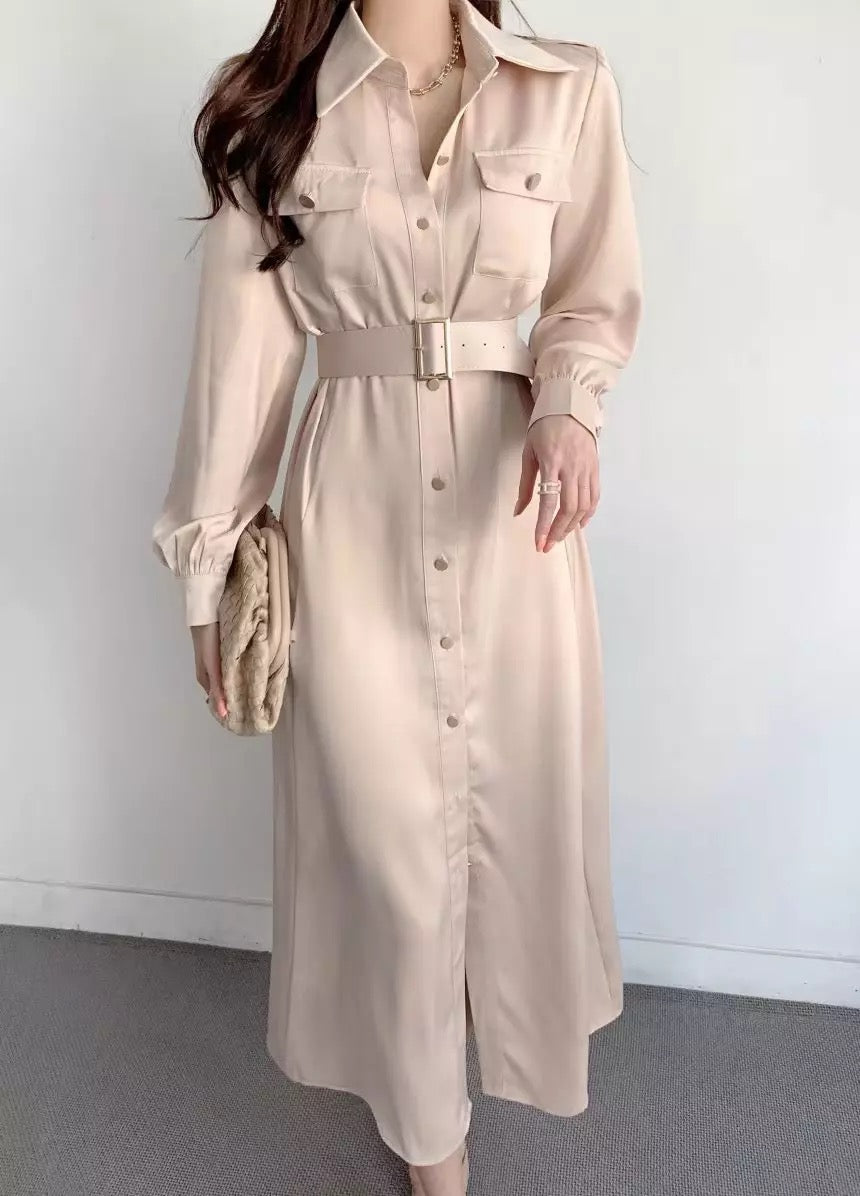 Long sleeve buttoned dress